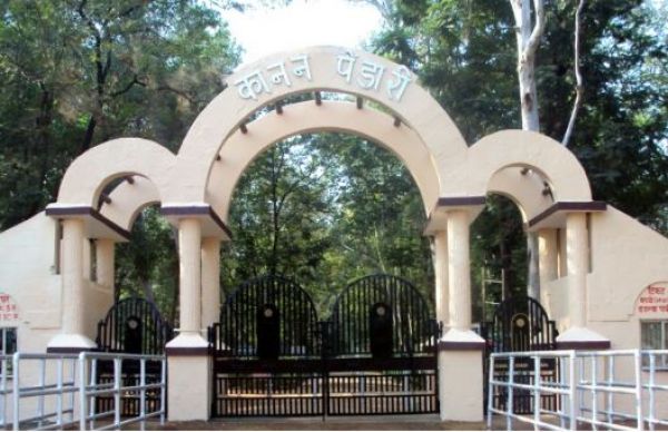 कानन पेंडारी में पहली बार हिमालयन गोरल ने दिया शावक को जन्म, संरक्षण प्रयासों को मिली बड़ी सफलता