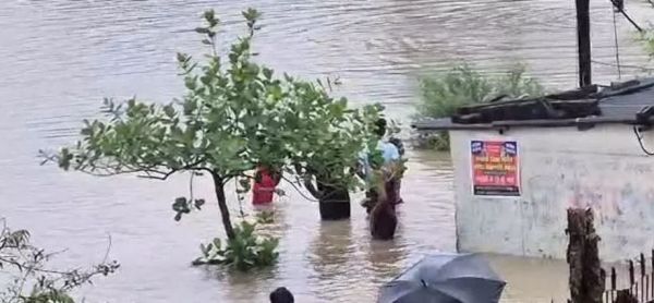 बाढ़ की चपेट में बिलासपुर जिले के कई गांव, टापू में तब्दील