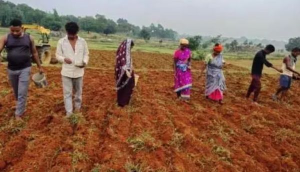 आधुनिक कृषि तकनीक से चमकेगी किसान की किस्मत