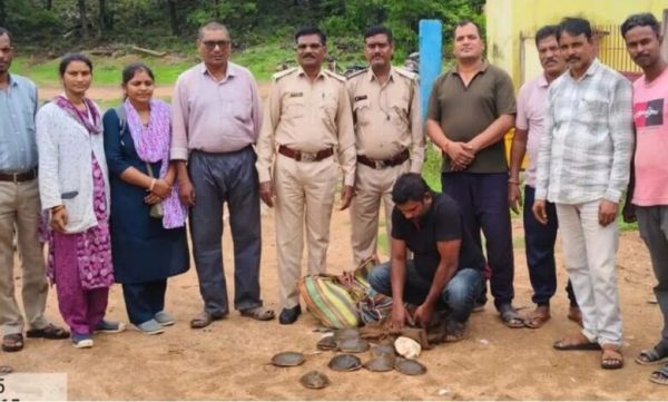 वन विभाग का बड़ा एक्शन&hellip;.11 जीवित कछुओं के साथ तस्कर गिरफ्तार