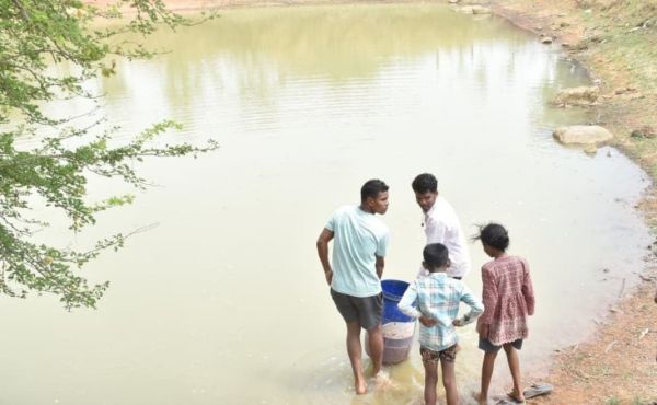जल संरक्षण से बदला जीवन: धमतरी के भोथापारा में आजीविका डबरी बनी आर्थिक स्वावलंबन का नया आधार