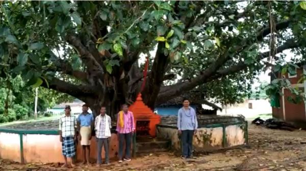 80 साल पहले आजादी की खुशी में लगाया था पौधा, आज उसी बरगद पर हर साल लहराता है तिरंगा