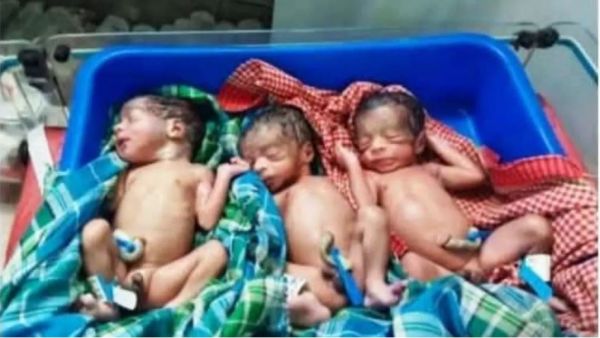 पहाड़ी कोरवा महिला ने एक साथ तीन बच्चों को दिया जन्म, जच्चा-बच्चा दोनों स्वस्थ