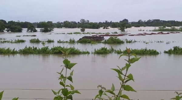 बस्तर में बारिश थमी, लेकिन नदियां उफान पर; प्रशासन अलर्ट