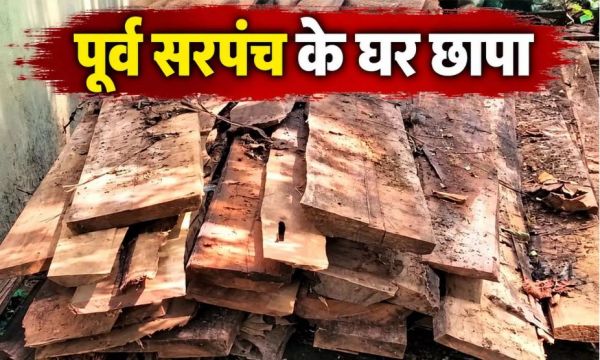 पूर्व सरपंच के घर मिला लाखों का सागौन, पुलिस और वन विभाग ने की कार्रवाई