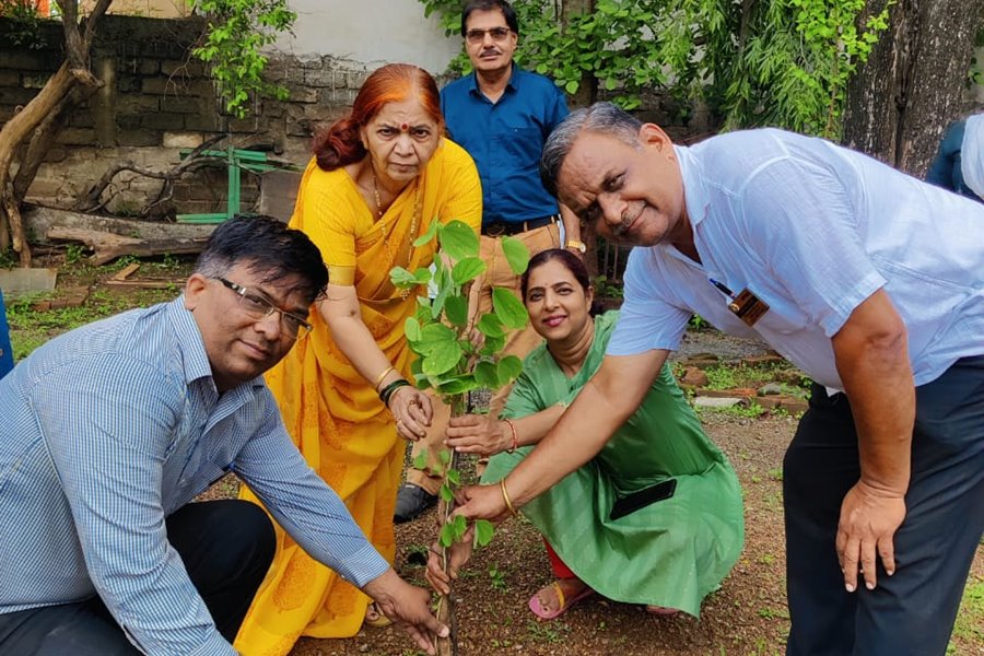 महाराष्ट्र मंडल की पर्यावरण समिति ने... रोटरी क्लब के साथ मिलकर रोपे... फलदार और छायादार वृक्षों के पौधे