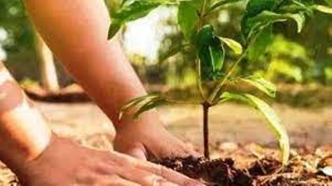  महाराष्ट्र मंडल की पर्यावरण समिति आज करेगी वृहद स्तर पर पौधरोपण