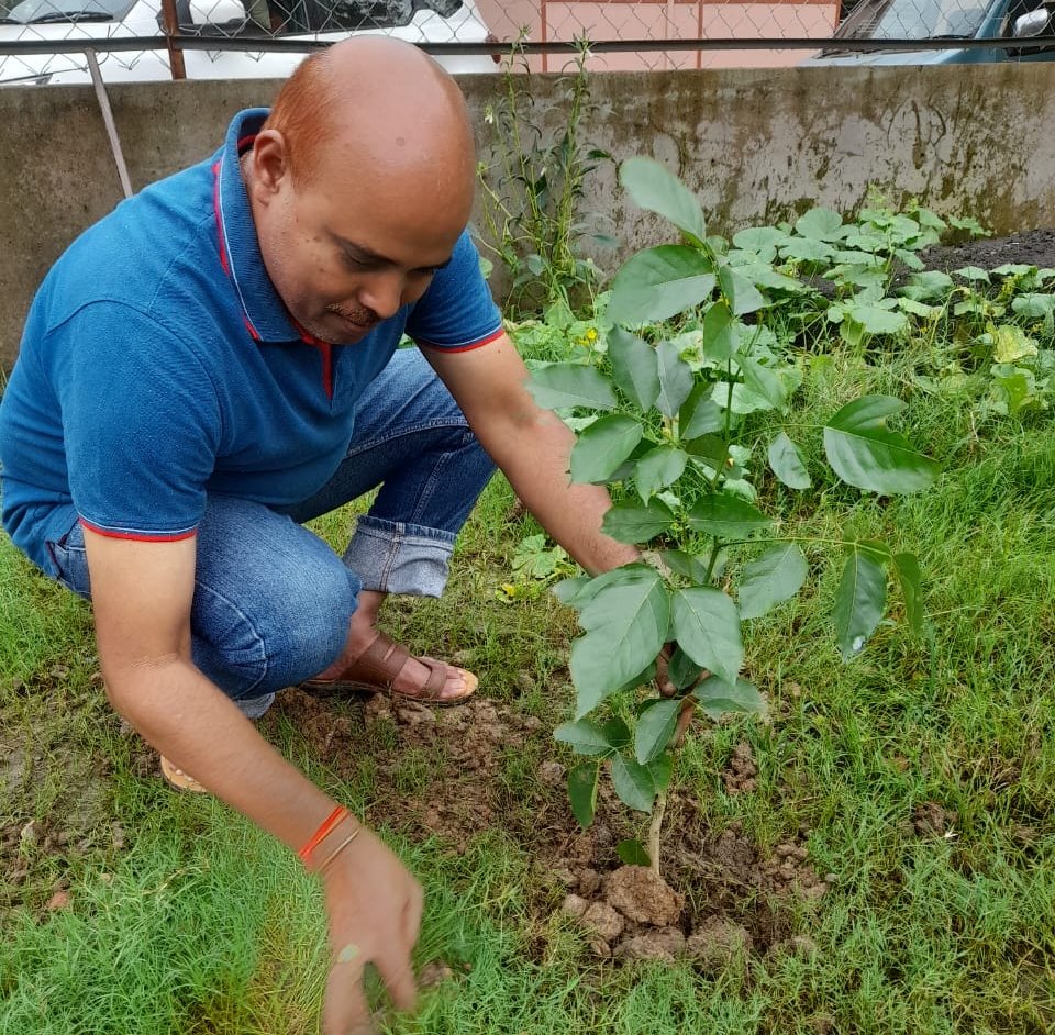 महाराष्ट्र मंडल के पौधरोपण अभियान का... अगला पड़ाव पतोरा शासकीय स्कूल... इस दिन किया जाएगा रोपण