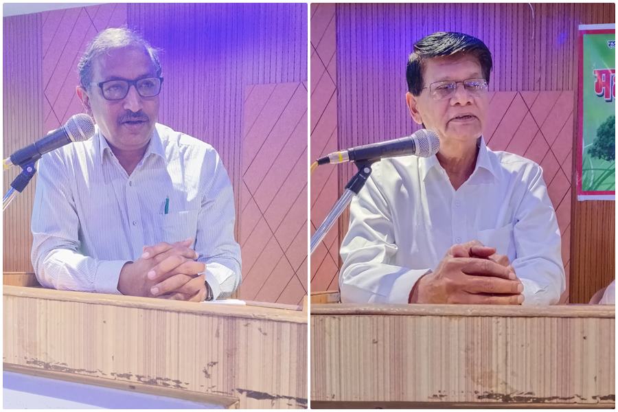  सैन्सेविरिया, एलोविरा, एरेका पाम और तुलसी का पौधा हमें देगा 24 घंटे आक्सीजन