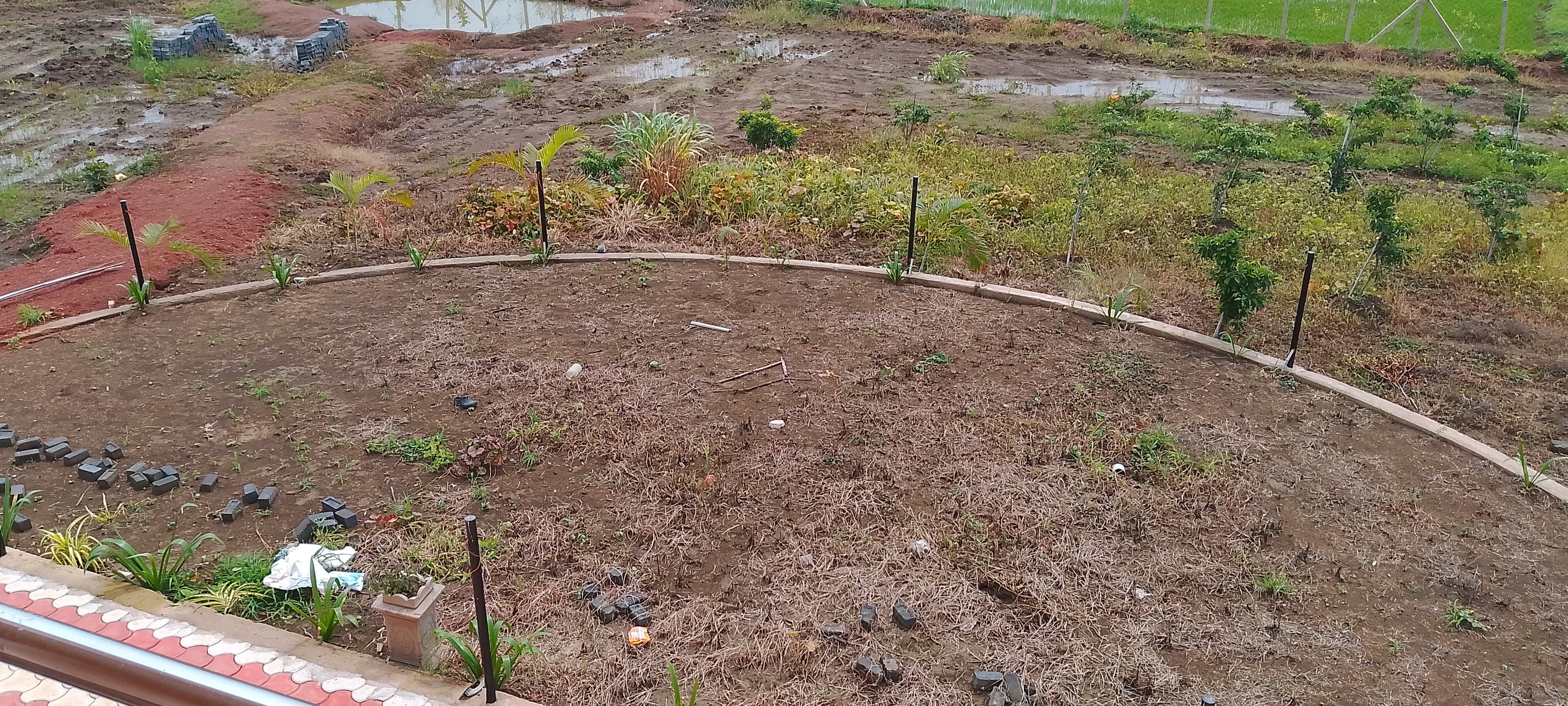  महाराष्ट्र मंडल की पर्यावरण समिति ग्राम रूही में 27 जुलाई को करेगी पौधारोपण