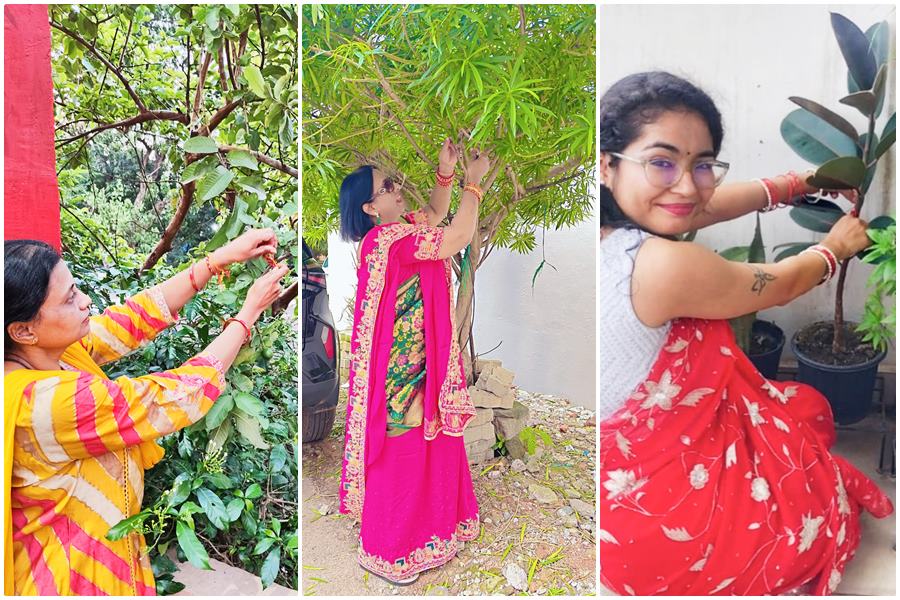  महाराष्&zwj;ट्र मंडल ने रक्षाबंधन से पहले मनाया वृक्षाबंधन