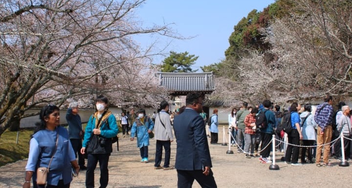 मेरी जापान डायरी- 2 : प्रेरक है जापान की अनुशासित जीवनशैली