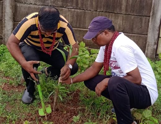 महाराष्ट्र मंडल पर्यावरण समिति ने बढ़ाया दायरा... बगुलामुखी सिद्धपीठ मंदिर में किया पौधरोपण... मातारानी का किया वंदन