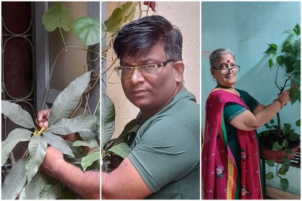 महाराष्ट्र मंडल की पर्यावरण समिति ने पेड़ों की बांधी राखी.... सुरक्षा का लिया संकल्प