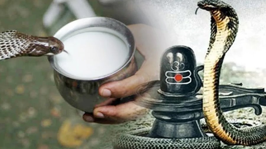 कब है नाग पंचमी... क्यों मनाई जाती है, क्या है जीवन में महत्व... जानिए पूरी बात
