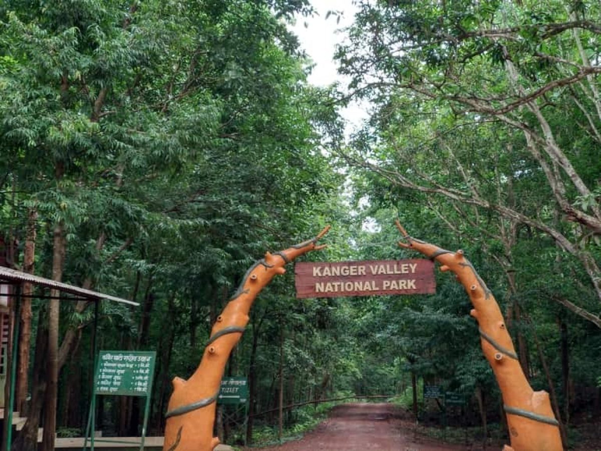 कार्यशालाः हरी-भरी वादियों के बीच प्राकृतिक खूबसूरती को समेटा कांगेर घाटी राष्ट्रीय उद्यान