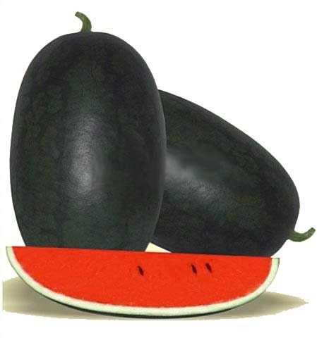 आइये आपको बताते है तरबूज मीठा है या फीका कैसे पहचाने.... 