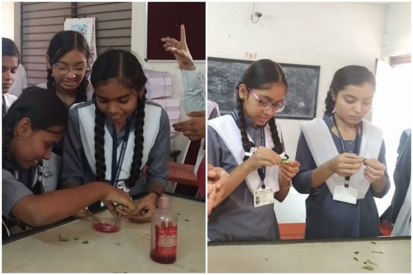 यहां प्रायोगिक ज्ञान लेकर बच्चे सीख रहे विज्ञान के ज्ञान को