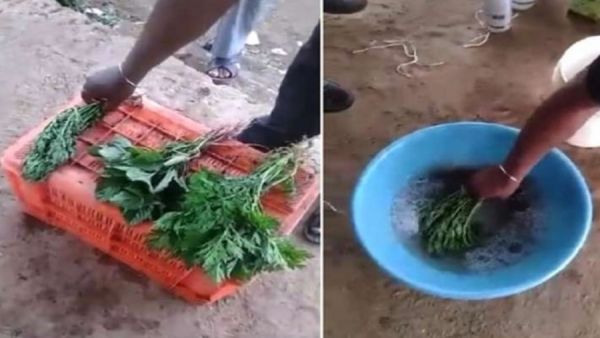 मुरझाई हुई थी भाजी... महज दो मिनट में लौट आई ताजगी... सेहत के साथ केमिकल खिलवाड़