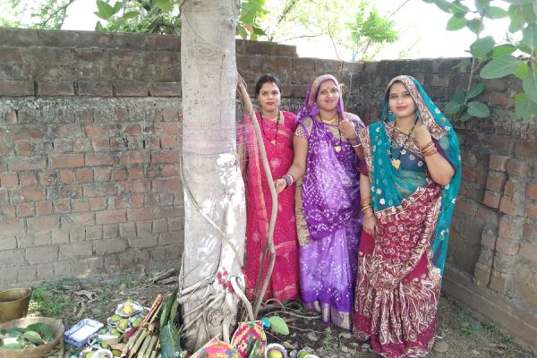 रायपुर सहित देशभर में मनाया जा रहा है 'वट सावित्री व्रत'... क्यों है यह दिन विशेष... जानिए पूरी कथा