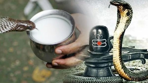 कब है नाग पंचमी... क्यों मनाई जाती है, क्या है जीवन में महत्व... जानिए पूरी बात