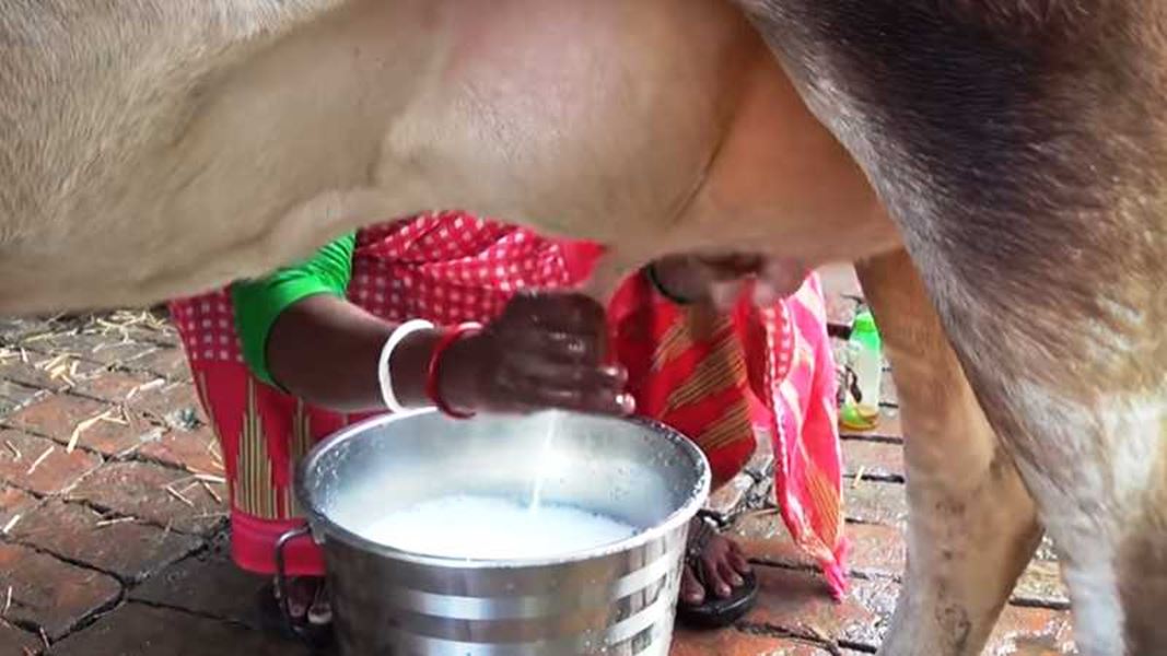 यहां पांच रुपये महंगा हुआ गाय और भैंस का दूध, बिगड़ा घर का बजट
