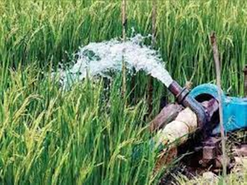   सिंचाई के क्षेत्र में अच्छे काम के लिए दिल्ली में होगा प्रदेश का सम्मान, सीएम ने दी बधाई