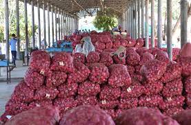 भारतीय राष्ट्रीय उपभोक्ता सहकारी संघ 25 रुपये प्रति किलो बेचेगा प्याज