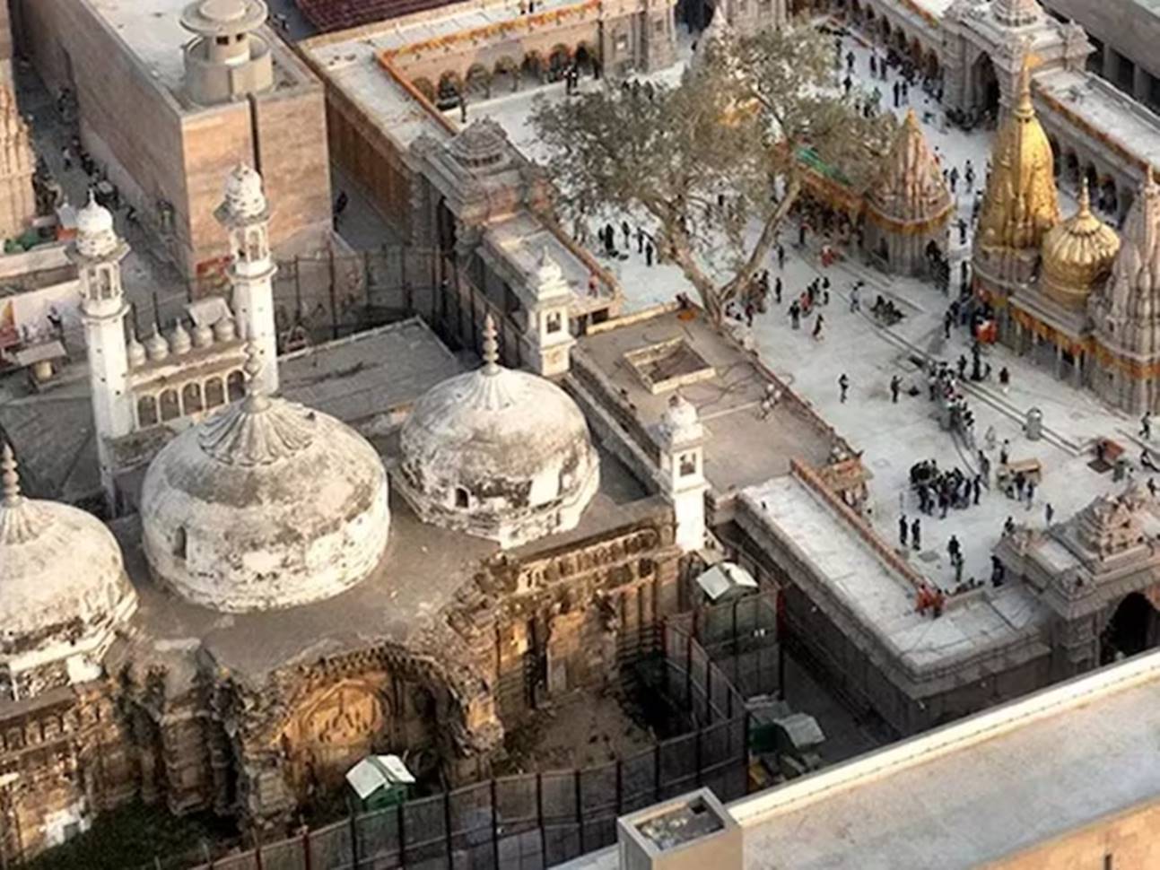 Gyanvapi: ज्ञानवापी के व्यासजी तहखाने में क्या है? आखिर क्यों अंग्रेजों ने इसे दिया था हिंदुओं को