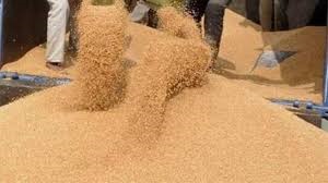 केंद्रीय पूल में 262.48 लाख मीट्रिक टन गेहूं खरीदा गया है, जिससे 22.31 लाख किसानों को 59,715 करोड़ रुपये का न्&zwj;यूनतम समर्थन मूल्&zwj;य प्राप्&zwj;त हुआ