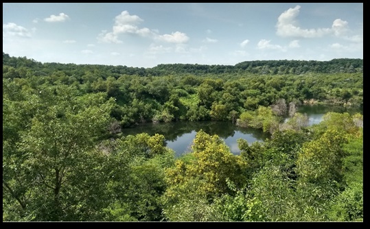 खदानों को हरा-भरा बनाना: कोयला और लिग्नाइट पीएसयू भूमि को हरा-भरा और स्थिर बनाने में आगे