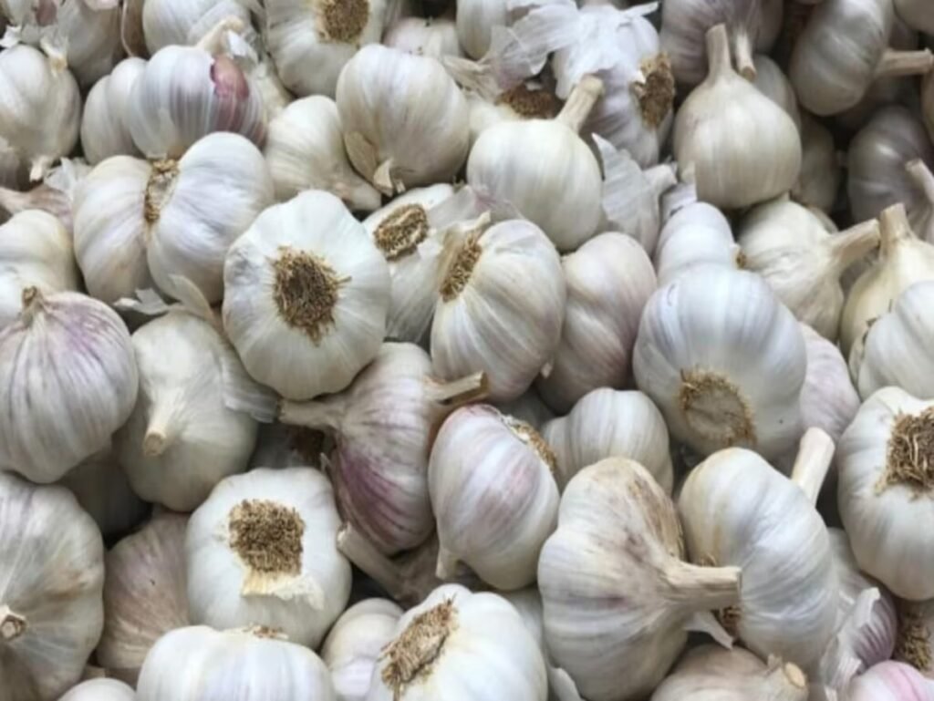 लहसुन सब्जी है या मसाला&hellip;. मध्यप्रदेश हाईकोर्ट ने सुनाया मजेदार फैसला