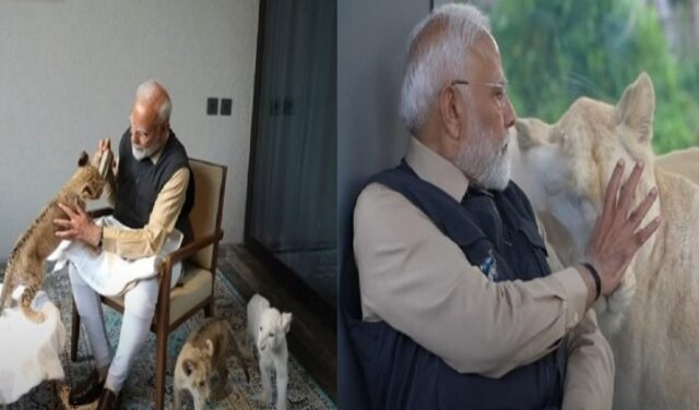वन्यजीव बचाव केंद्र वनतारा का उद्घाटन : शेर के शावक को दुलारते दिखे प्रधानमंत्री मोदी