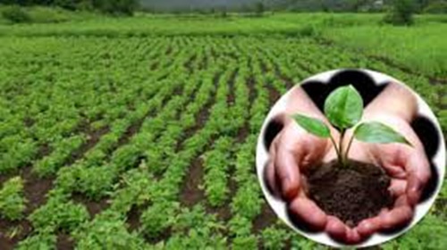 राष्ट्रीय प्राकृतिक खेती मिशन के तहत प्राकृतिक खेती का प्रचार