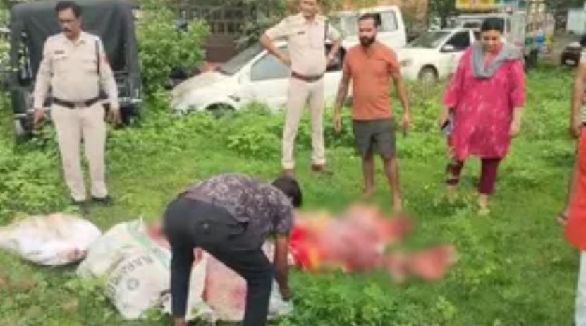 राजधानी में नहीं थम रहे गौ हत्या और तस्करी के मामले: बजरंग दल ने पकड़ी गौ मांस से भरी गाड़ी, आरोपी फरार  