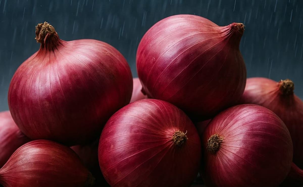 दिल्ली, मुंबई और अहमदाबाद में आज से सरकार बेचेगी 24 रुपये किलो प्याज