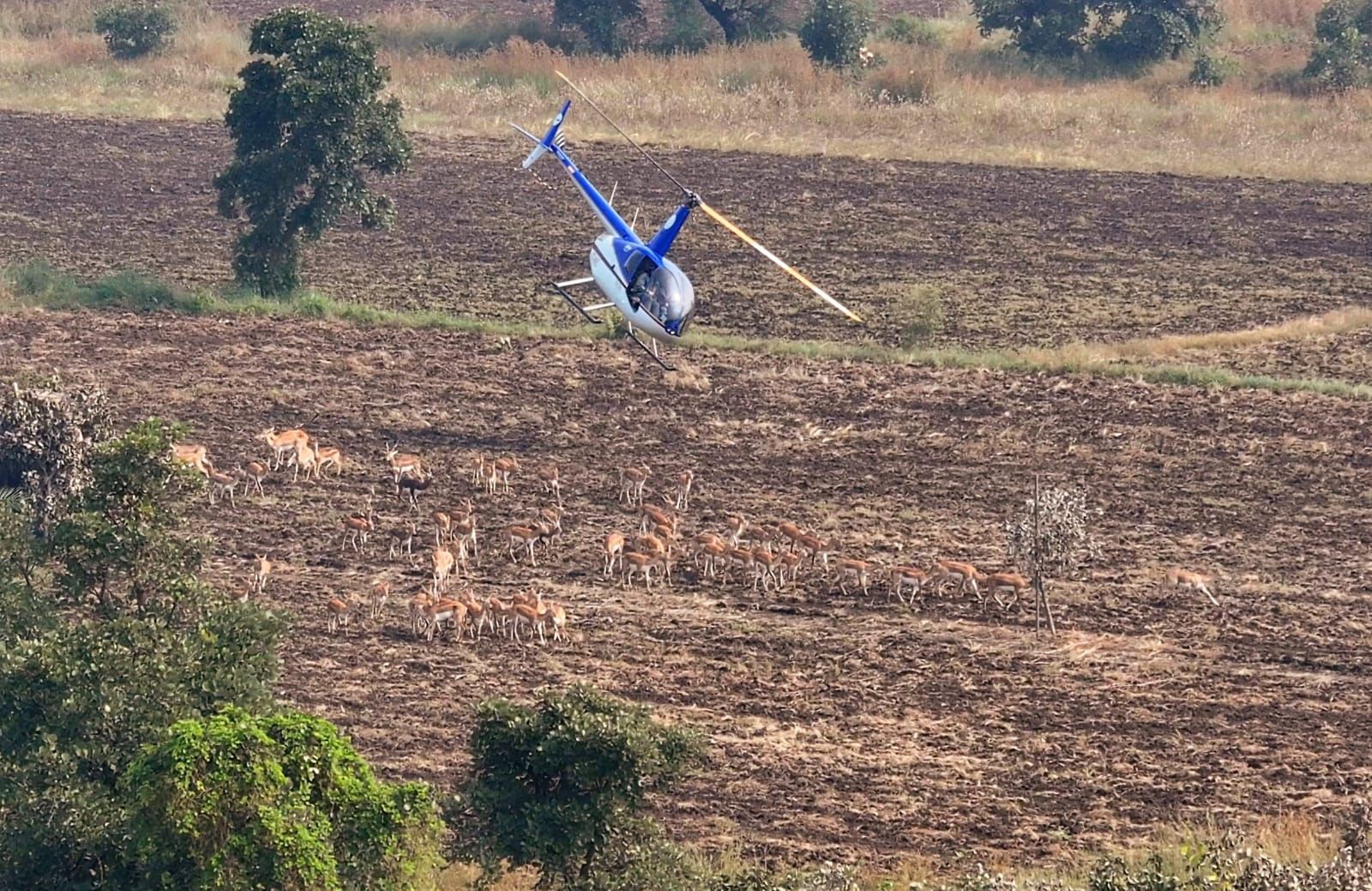 सेवा भाव और वन्य जीव संरक्षण का प्रतीक है देश का पहला हाई-टेक वन्य जीव कैप्चर अभियान 