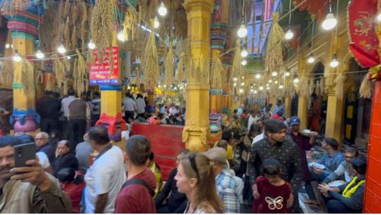धान की सुनहरी बालियों से सजा माँ अन्नपूर्णा का दरबार