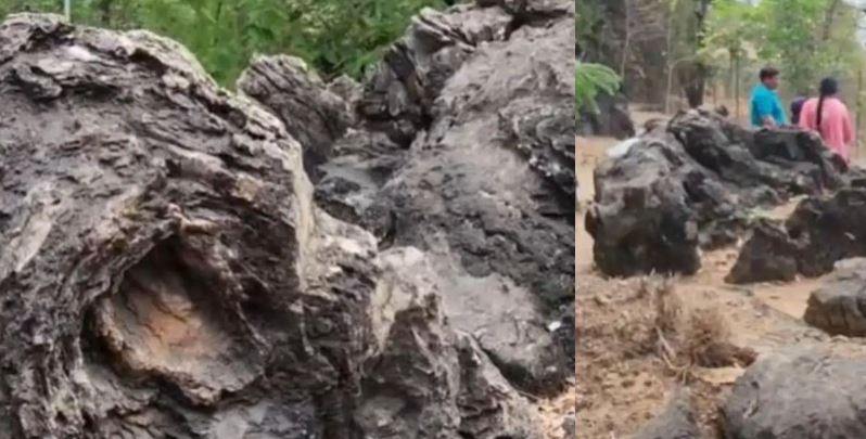 पत्थरों में दर्ज 160 करोड़ साल की कहानी, सलखन जीवाश्म पार्क बनने जा रहा दुनिया का नया आकर्षण