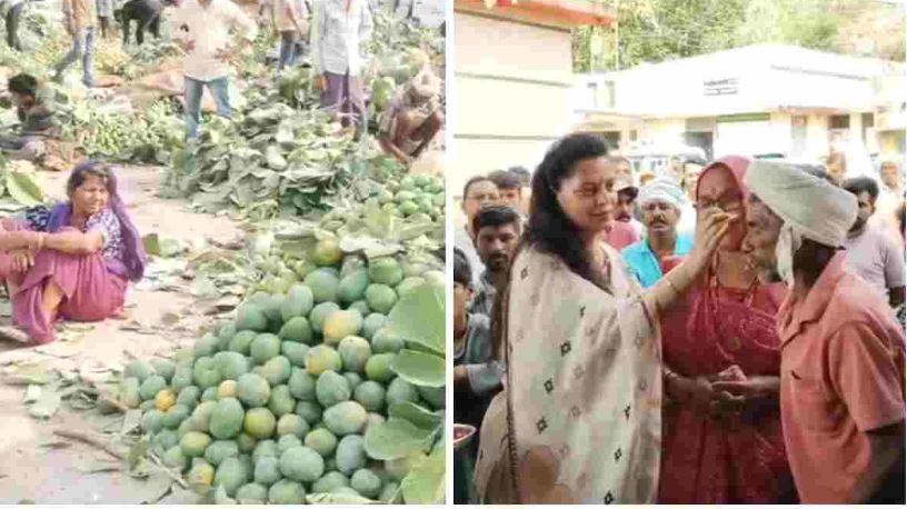 आलीराजपुर में आम की बहार: पहली बोली के साथ मंडी में शुरू हुआ सीजन, कलेक्टर ने किसान का तिलक लगाकर किया स्वागत 