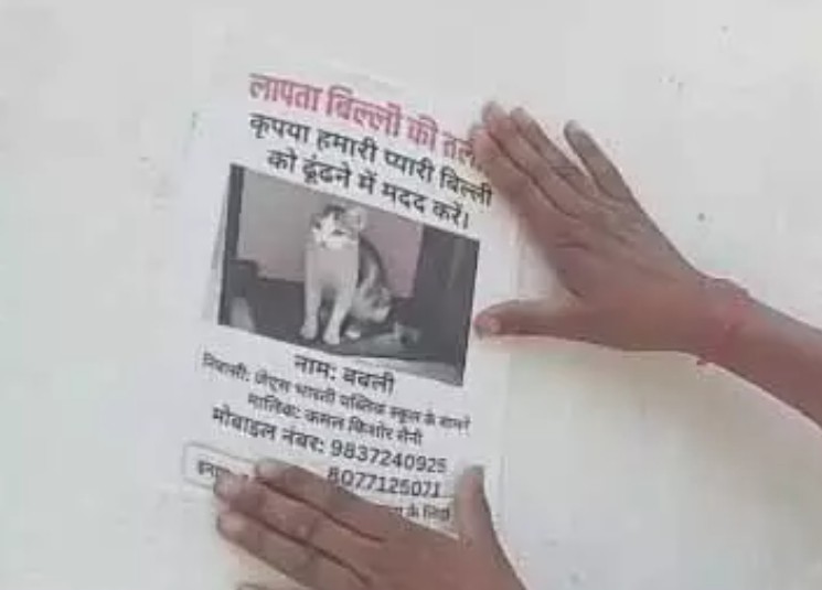 बिल्ली लापता होने से परिवार परेशान, 5 हजार ईनाम भी रखा, ढूंढने की अपील