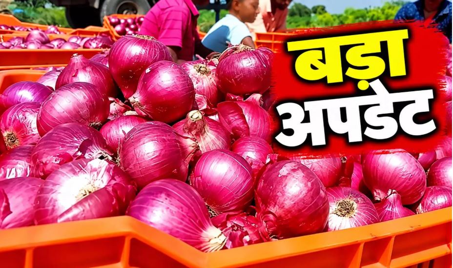 धड़ाम होंगे प्याज के दाम...परेशान लोगों के लिए राहत की खबर आई