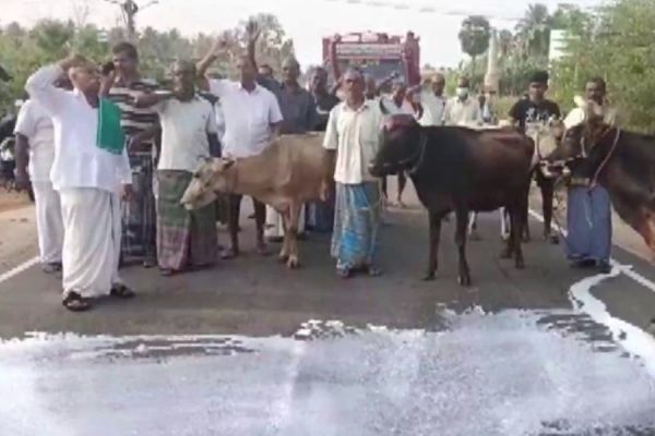सड़क का दुग्ध स्नान क्यों कर रही महिलाएं... क्या यह परंपरा है... या फिर नाराजगी का परिणाम... पढ़िए पूरी खबर
