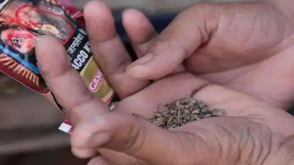 तंबाकू की लत सरकारी कर्मचारियों पर गाज बनकर गिरी... कलेक्टर ने सुनाया सख्त फरमान... जुर्माना भी ठोका 