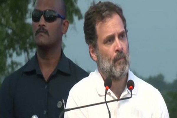 राहुल ने हाईकोर्ट में कहा, 'मैंने कोई हत्या नहीं की... चुनाव लड़ने पर 8 साल रोकना, बहुत ही ज्यादा'