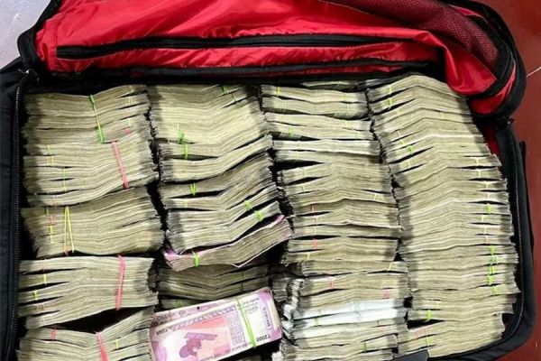 चुनावी मौसम में बारिश का कहर... आम के पेड़ से गिरा नोटों का बंडल... क्या है पूरा मामला, पढ़िए ये खबर