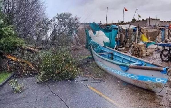 साइक्लोन का असरः गुजरात में 940 गांव अंधेरे में डूबे, 524 पेड़ उखड़े