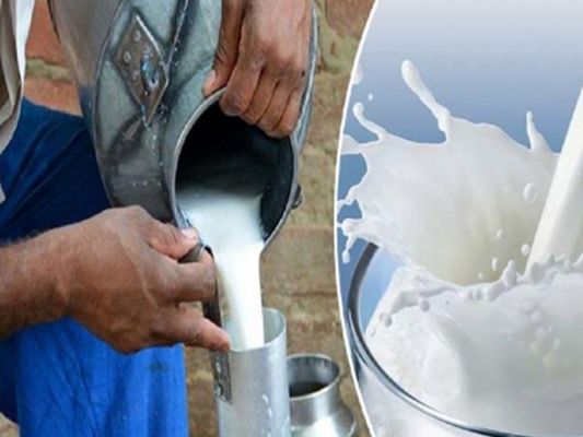 दुनिया में दूध का सबसे ज्यादा उत्पादन भारत में....लेकिन प्रति व्यक्ति दूध की खपत में काफी पीछे 