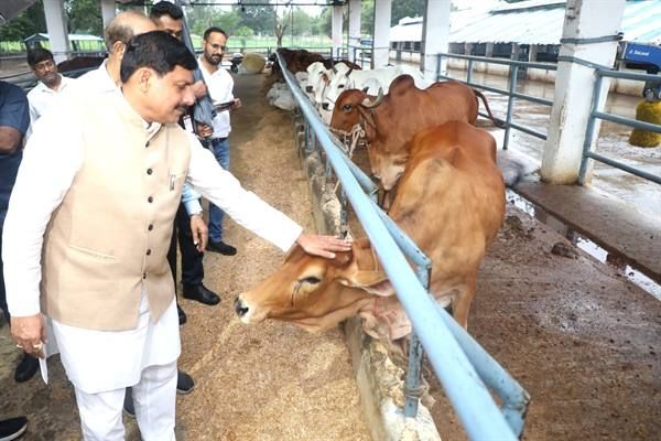 पशुपालन से किसानों की बढ़ेगी आय, बनेंगे आत्मनिर्भर