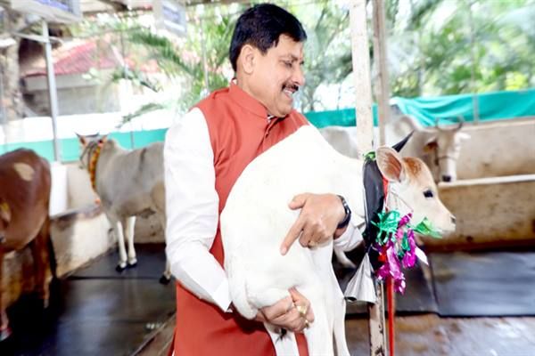 मुख्यमंत्री डॉ. यादव ने नवजात बछिया का किया नामकरण